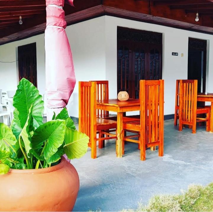 Tharurashmi Sea Pond Villa & Surf Hostel - Hiriketiya 迪克韦勒 外观 照片